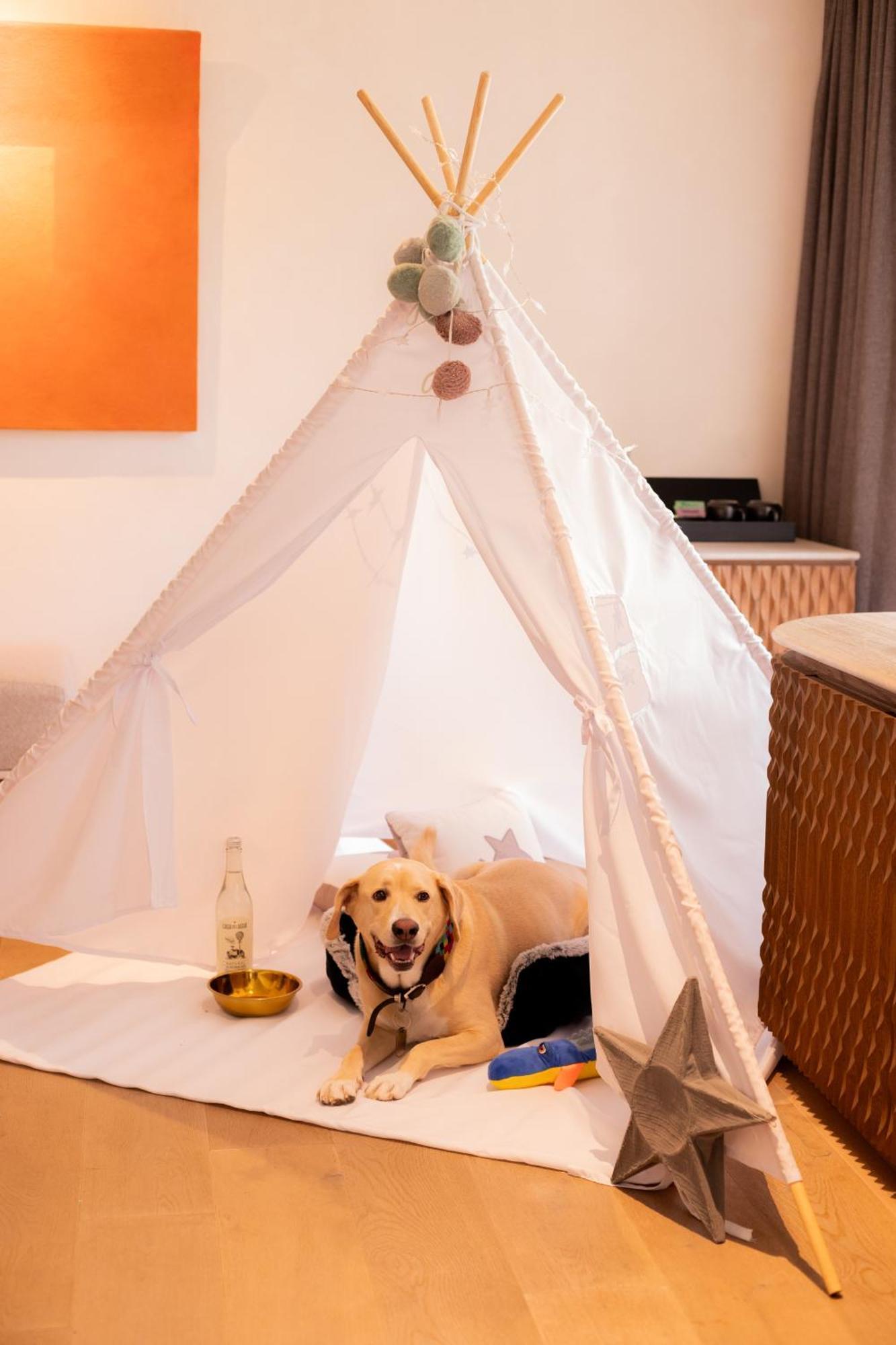 Numu Boutique Hotel, The Unbound Collection By Hyatt سان ميغيل دي الليندي المظهر الخارجي الصورة
